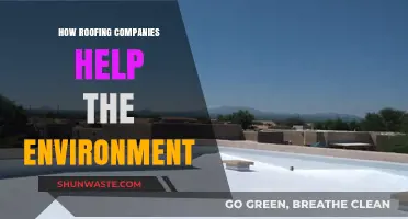Eco-Friendly Roofing: How Companies Contribute to a Greener Planet