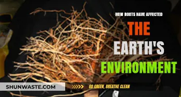 Root Systems: Shaping Earth's Environment Through Growth and Stability