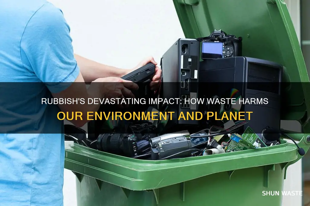 how rubbish affects the environment