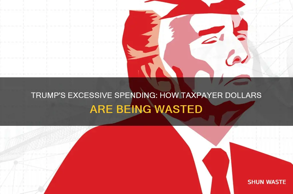 how s trump wasting the governments money