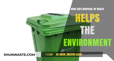 Eco-Friendly Waste Disposal: Protecting Our Planet Through Responsible Practices