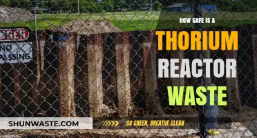 Thorium Reactor Waste Safety: Assessing Environmental and Health Risks