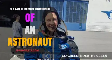 Astronaut Work Environment Safety: Risks, Challenges, and Protective Measures