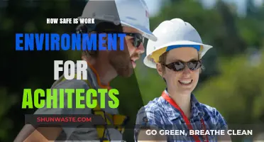 Ensuring Safety: Assessing Architects' Work Environment Risks and Protections