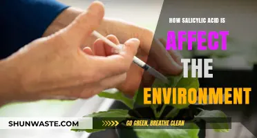 Salicylic Acid's Environmental Impact: A Comprehensive Analysis