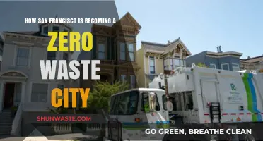 San Francisco's Green Revolution: The Journey to Zero Waste Living