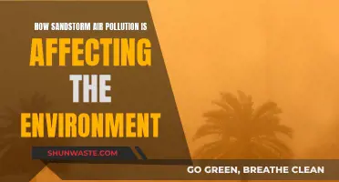 Sandstorm Air Pollution: Environmental Impact and Concerns