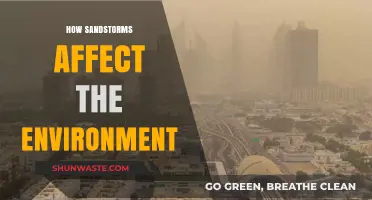 Sandstorms' Environmental Impact: Uncovering the Devastating Effects on Ecosystems