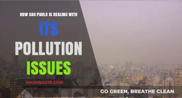 Sao Paulo's Fight Against Pollution: Strategies and Challenges