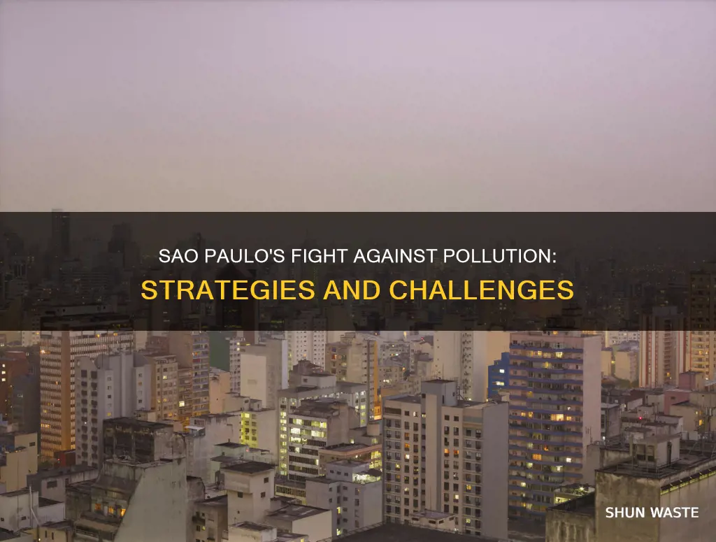 how sao paulo is dealing with its pollution issues