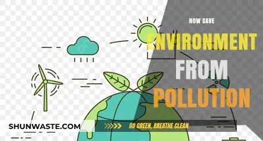 Protecting Nature: Stopping Pollution, Saving the Planet