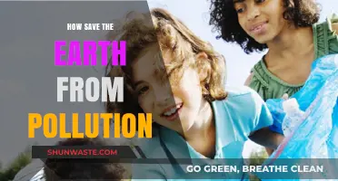 Protecting Earth: Pollution Prevention Strategies