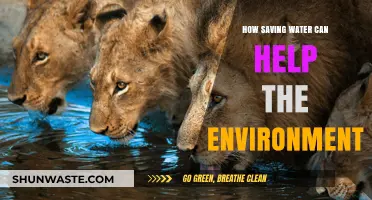 Save Water, Save the Planet: Eco-Friendly Tips for a Greener Future