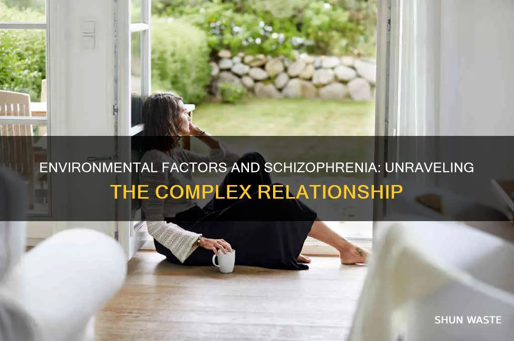 how schizophrenia is affected by environment