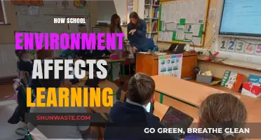 Classroom Climate: How School Environment Shapes Student Learning Outcomes