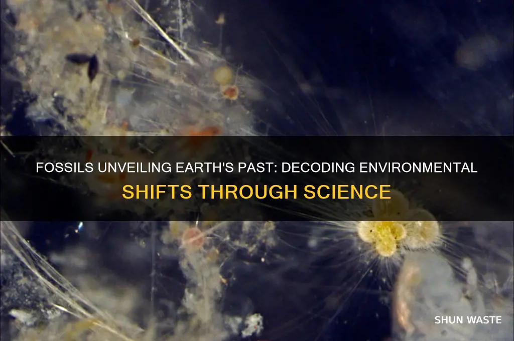 how science use fossil to find out environment changes