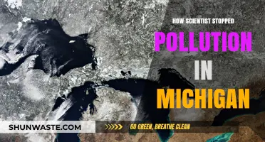 Scientists' Successful Battle Against Pollution in Michigan