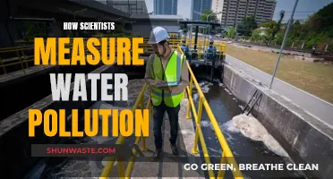 Unveiling the Tools: How Scientists Measure Water Pollution