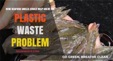 Seafood Shells: A Sustainable Solution to Plastic Waste Crisis