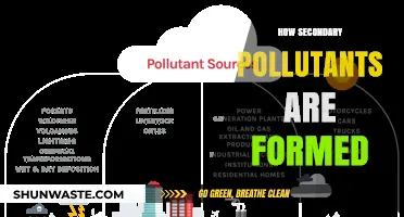 Secondary Pollutants: Formation and Impact