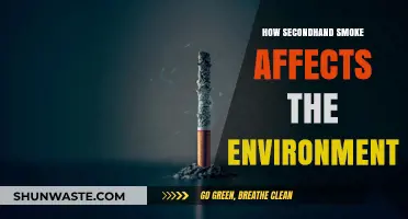 Secondhand Smoke's Environmental Impact: Pollution, Waste, and Ecosystem Harm