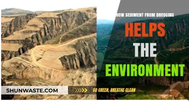 Dredging's Surprising Eco-Benefit: How Sediment Restoration Heals Ecosystems