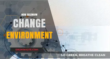 Selenium's Impact: Transforming Testing Environments for Enhanced Automation Efficiency