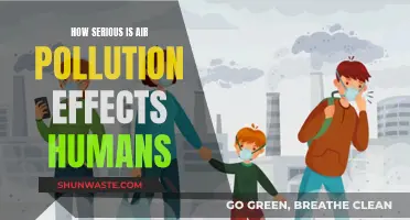 Air Pollution: A Deadly Threat to Human Health