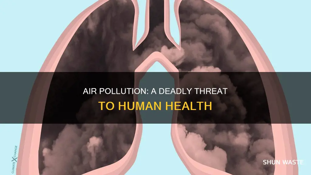 how serious is air pollution effects humans