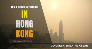 Hong Kong's Air Pollution: A Serious Health Crisis