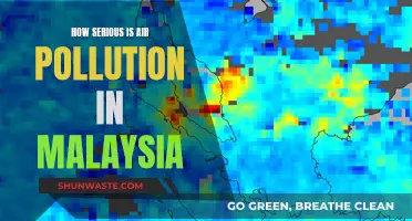 Air Pollution in Malaysia: A Growing Concern?