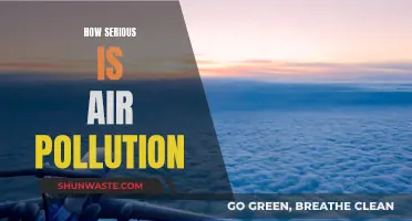 Air Pollution: A Serious Health and Environmental Threat