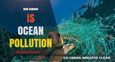Ocean Pollution: A Growing Crisis