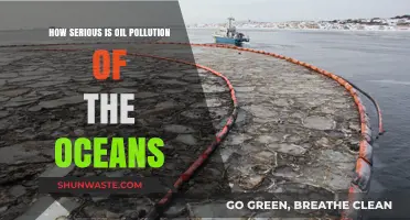 Ocean Oil Pollution: Understanding the Severity and Impact