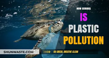 Plastic Pollution: A Global Crisis