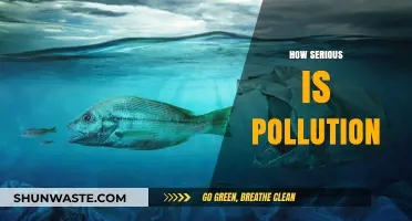 Pollution's Impact: A Global Emergency