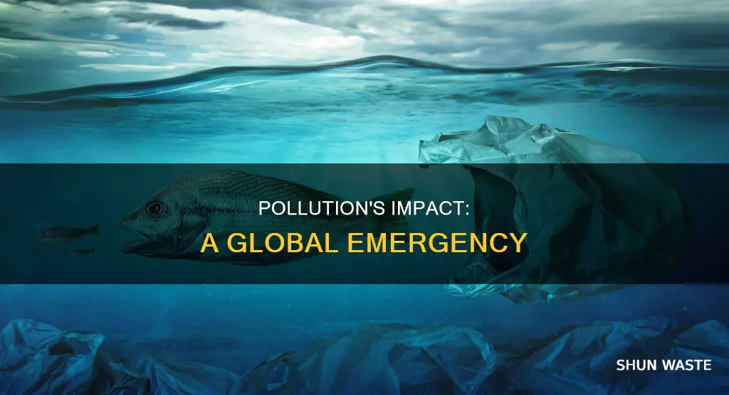 how serious is pollution