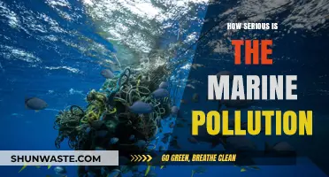 Marine Pollution: A Growing Global Crisis