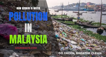 Malaysia's Water Crisis: A Growing Environmental Concern