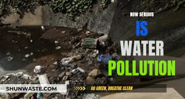 The Alarming Reality of Water Pollution: A Global Crisis