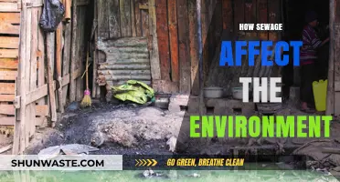 Sewage Pollution: Environmental Impacts and Urgent Solutions for a Cleaner Planet