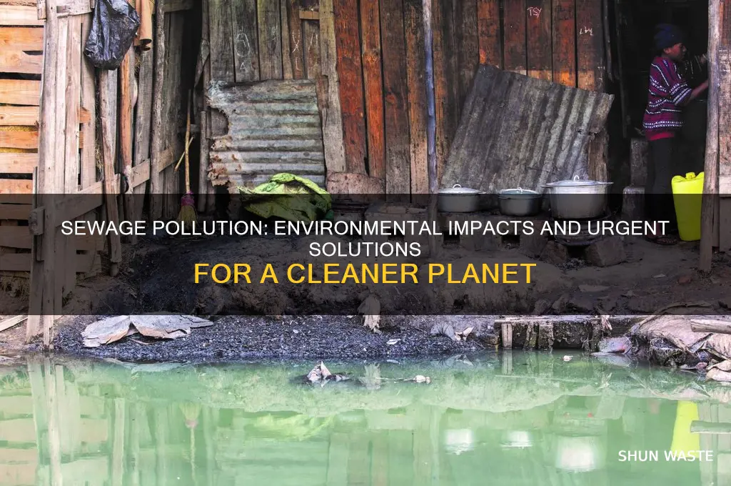 how sewage affect the environment