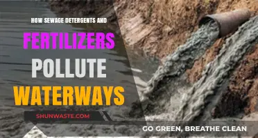 Detergents, Fertilizers, and Sewage: Waterway Pollutants