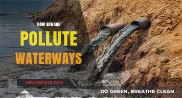 Sewage's Waterway Pollution: Understanding the Toxic Truth