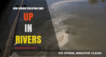 Sewage Pollution: Rivers Under Threat
