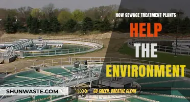 Sewage Treatment Plants: Environmental Guardians for Cleaner Water and Ecosystems