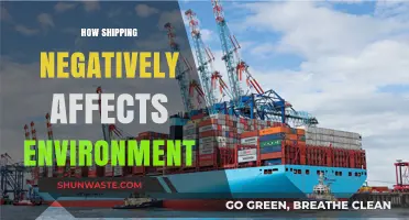 Shipping's Dark Side: Environmental Impact and Urgent Need for Change