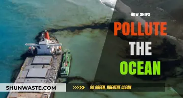The Dark Side of Ships: Ocean Pollution