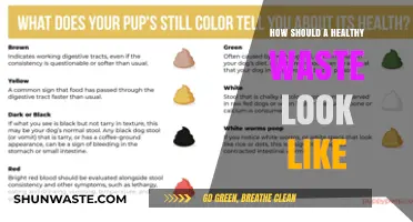 Understanding Healthy Waste: Color, Consistency, and What to Look For