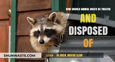 Eco-Friendly Animal Waste Management: Treatment and Disposal Best Practices